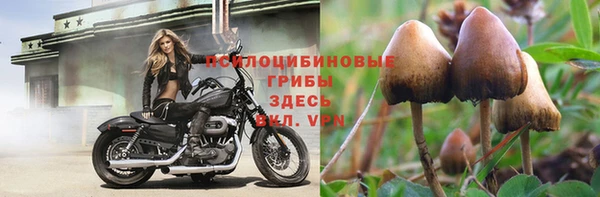 спайс Вязники