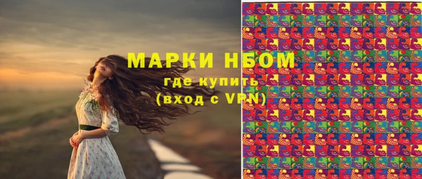 ПСИЛОЦИБИНОВЫЕ ГРИБЫ Вязьма