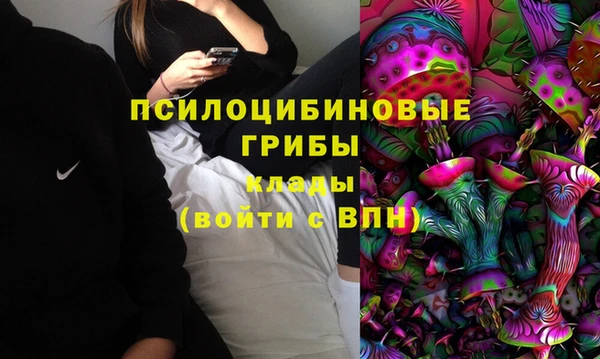 ПСИЛОЦИБИНОВЫЕ ГРИБЫ Вязьма