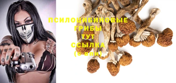 ПСИЛОЦИБИНОВЫЕ ГРИБЫ Вязьма