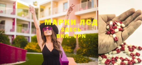 ПСИЛОЦИБИНОВЫЕ ГРИБЫ Вязьма